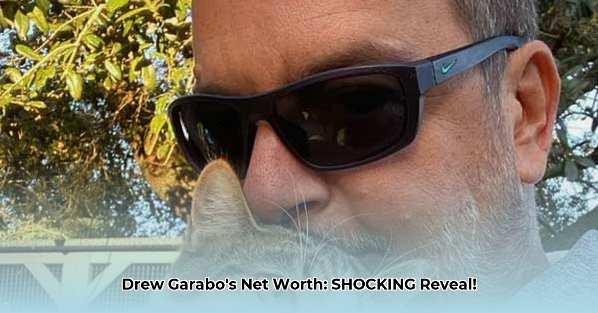 drew-garabo-net-worth